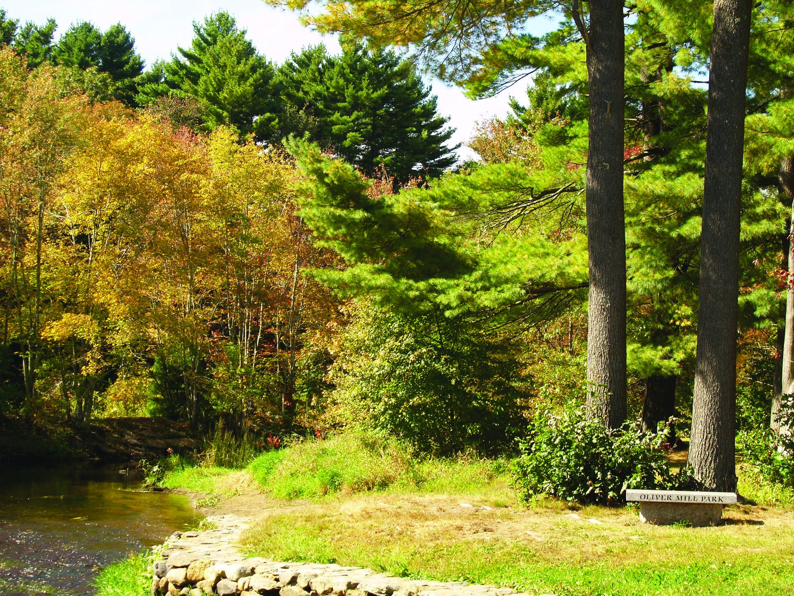 Stone bench carved Oliver Mill Park beside the river and pine trees