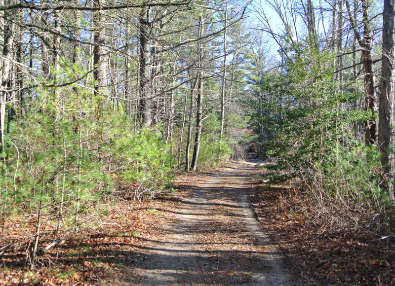 Rocky Gutter Wildlife Management Area image
