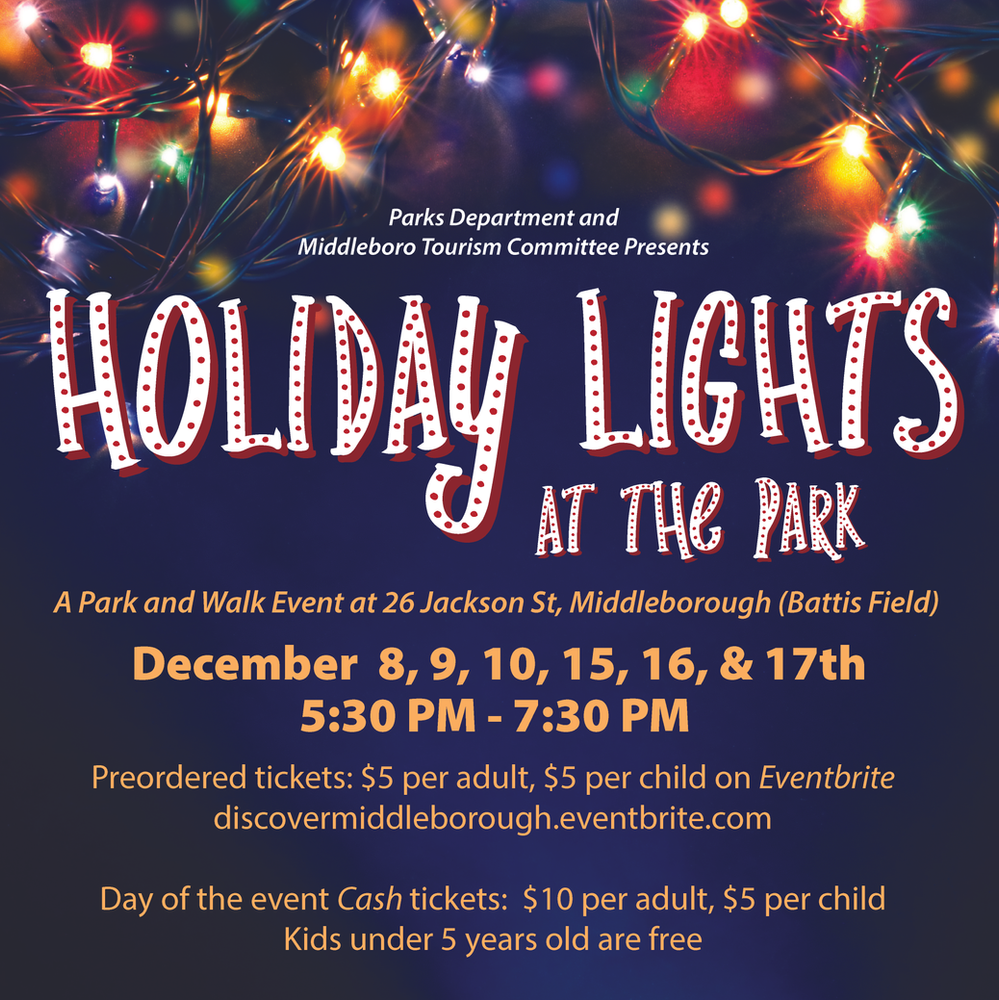 Holiday Lights at the Park image